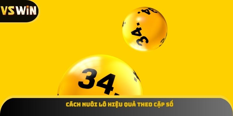 Cách nuôi lô hiệu quả theo cặp số